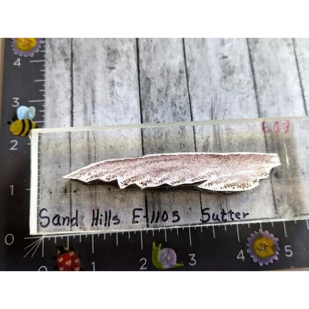 Sutter Sand Hills Landscape Acrylic Mount Rubber Stamp #A28